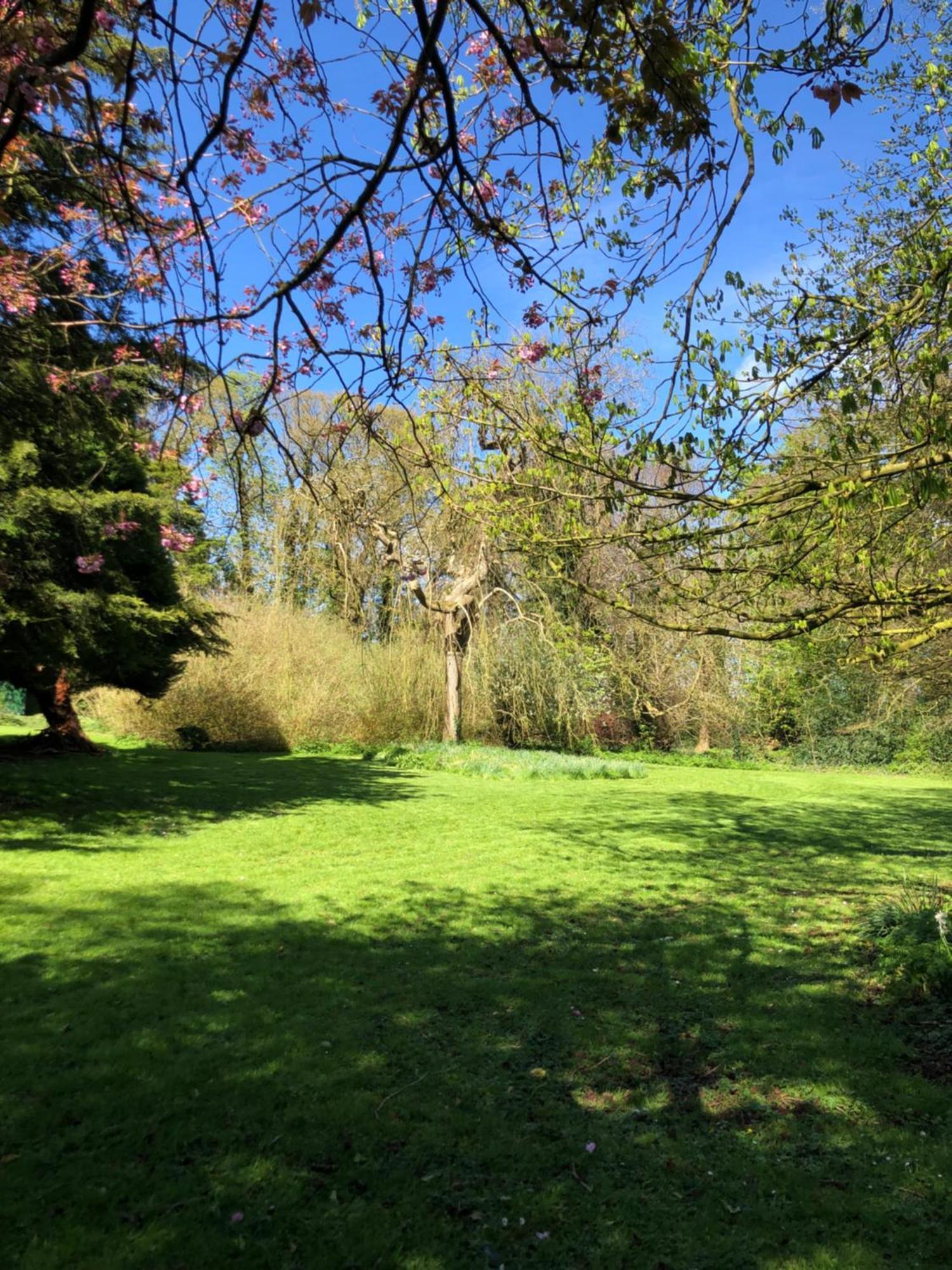 Springwood - Royal * Hillsborough